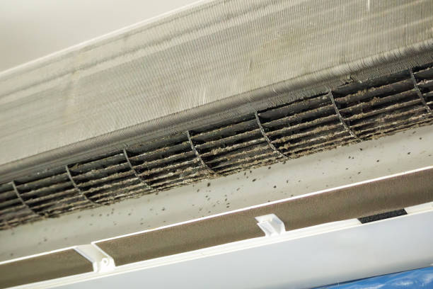Best Emergency Air Duct Cleaning  in Knightdale, NC